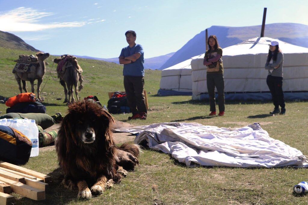 Tuvan nomads trekking in Mongolia